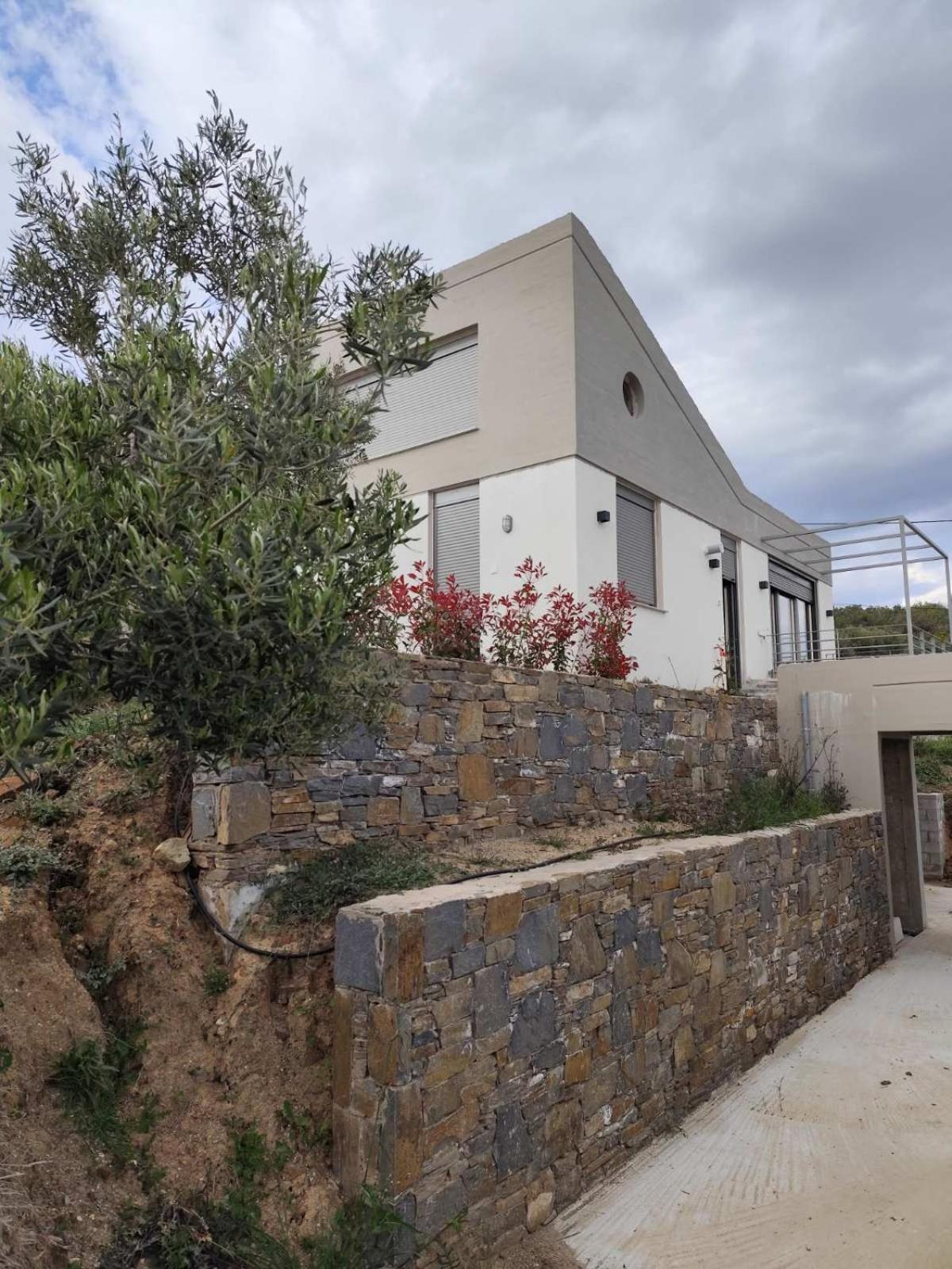 Enelia Villa Vatopédhion Екстериор снимка